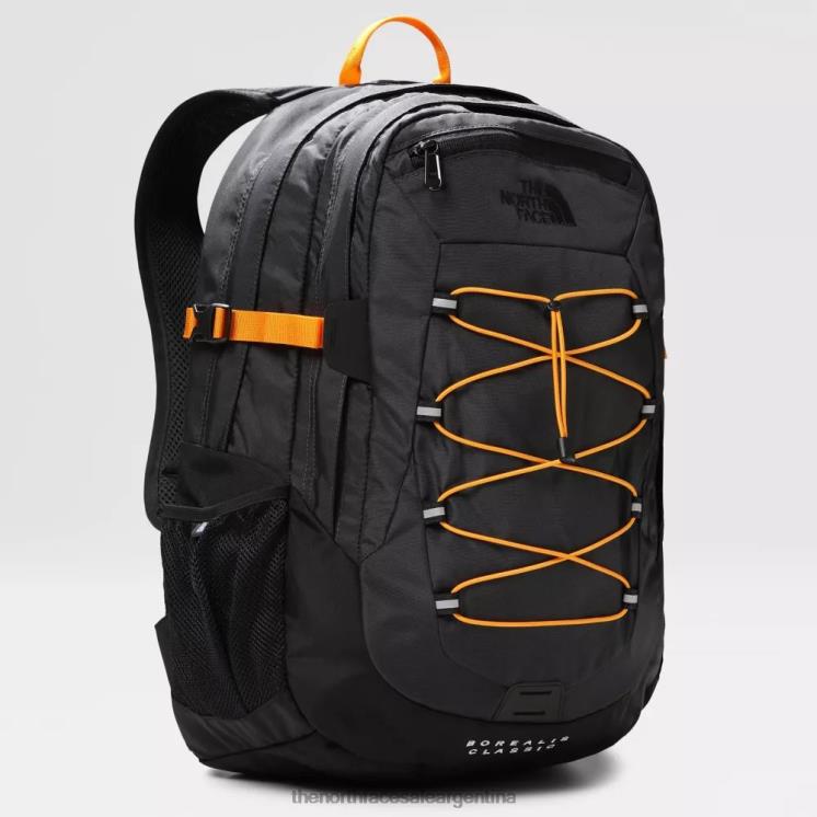 FFV042381 gris The North Face mochila clásica boreal