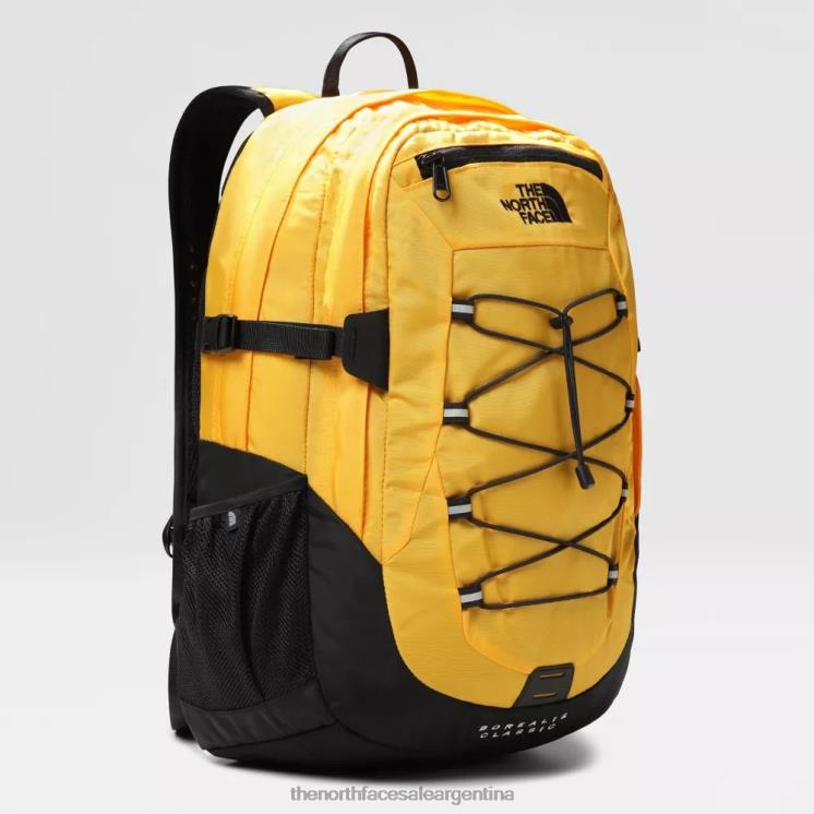FFV042385 cumbre de oro The North Face mochila clásica boreal