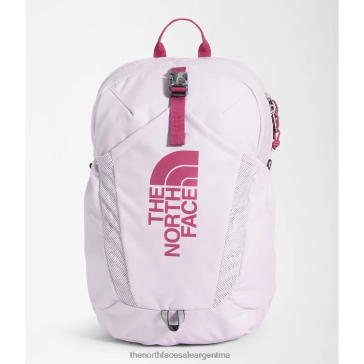 FFV043713 niebla de lavanda The North Face mini mochila de reconocimiento juvenil