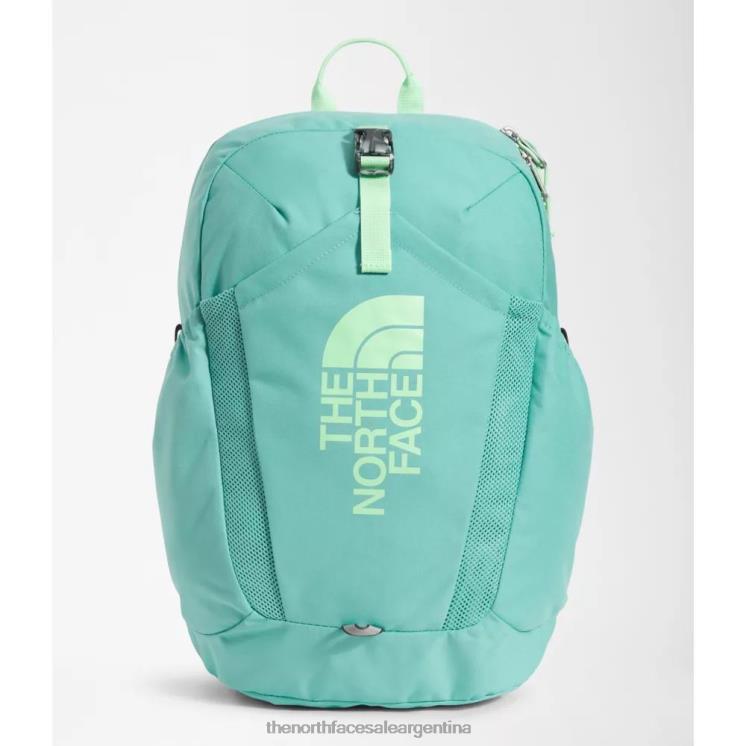 FFV043715 wasabi The North Face mini mochila de reconocimiento juvenil