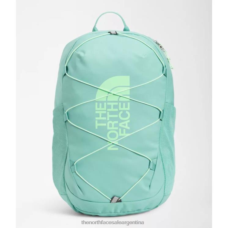 FFV043719 wasabi The North Face mochila de bufón de la corte juvenil