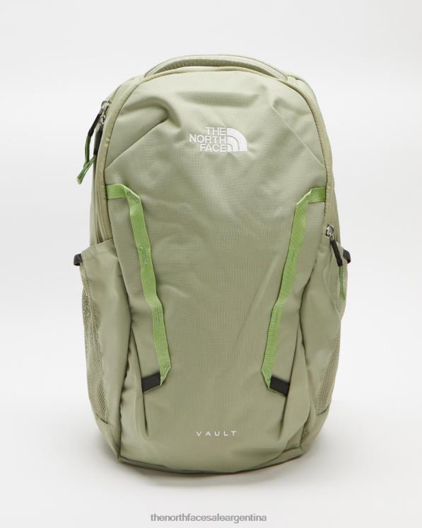 FFV046952 té verde The North Face mujeres de la bóveda