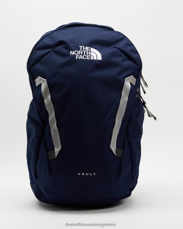 FFV047217 gris The North Face bóveda