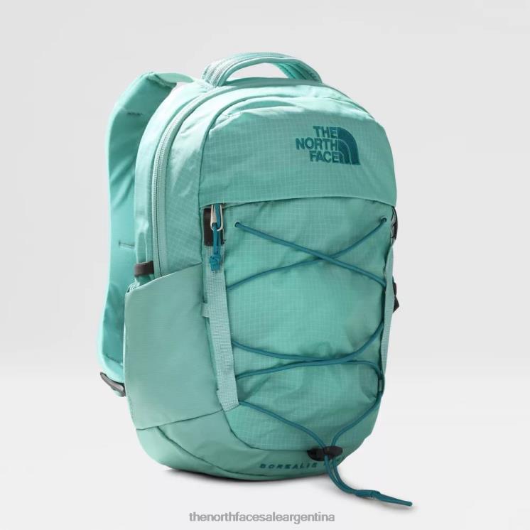 FFV04769 wasabi The North Face mini mochila boreal