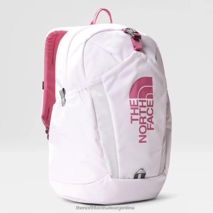 FFV04808 niebla de lavanda The North Face mini mochila de reconocimiento juvenil