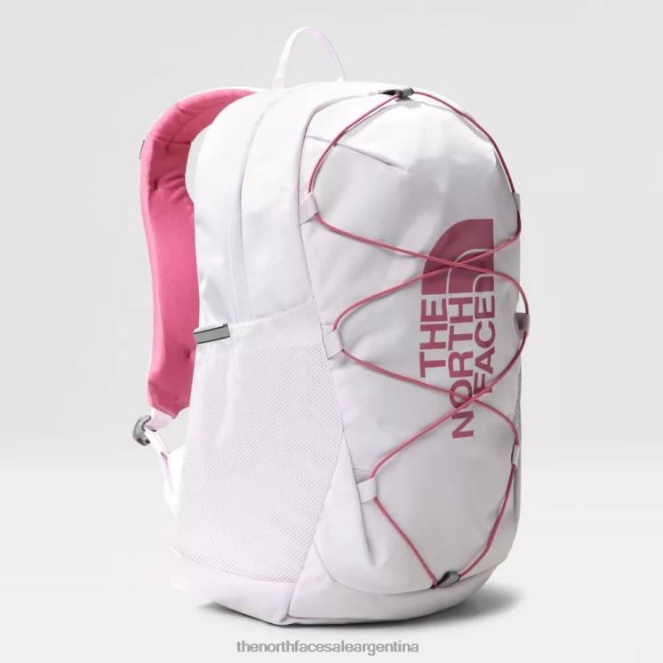 FFV04811 niebla de lavanda The North Face mochila de bufón juvenil