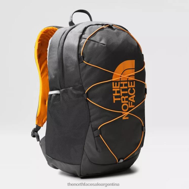 FFV04813 gris The North Face mochila de bufón juvenil