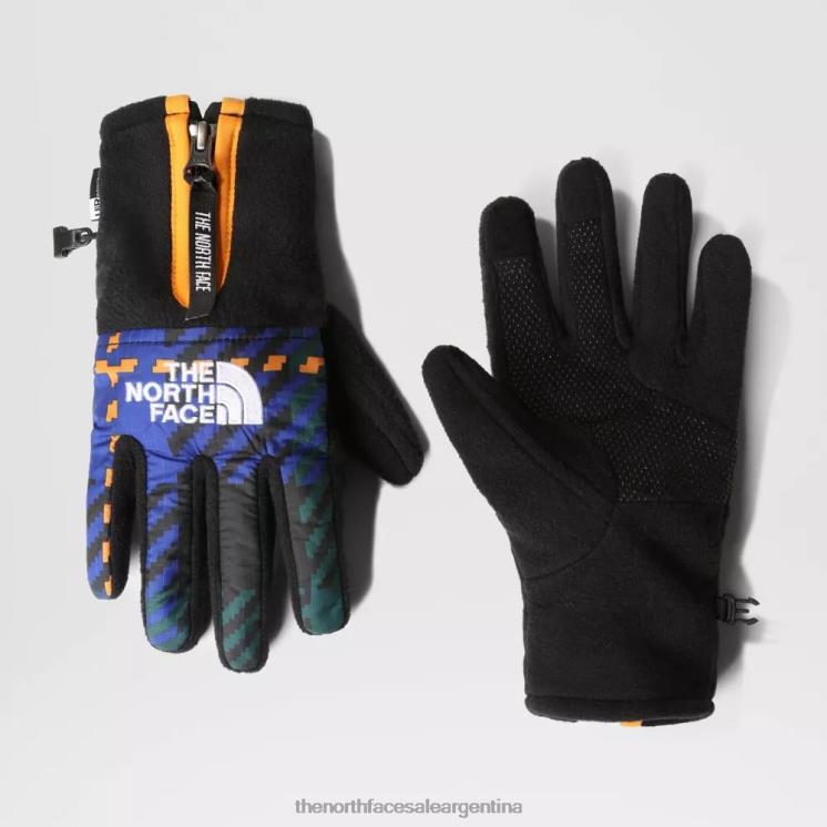 FFV041553 verde medio The North Face guantes denali etip