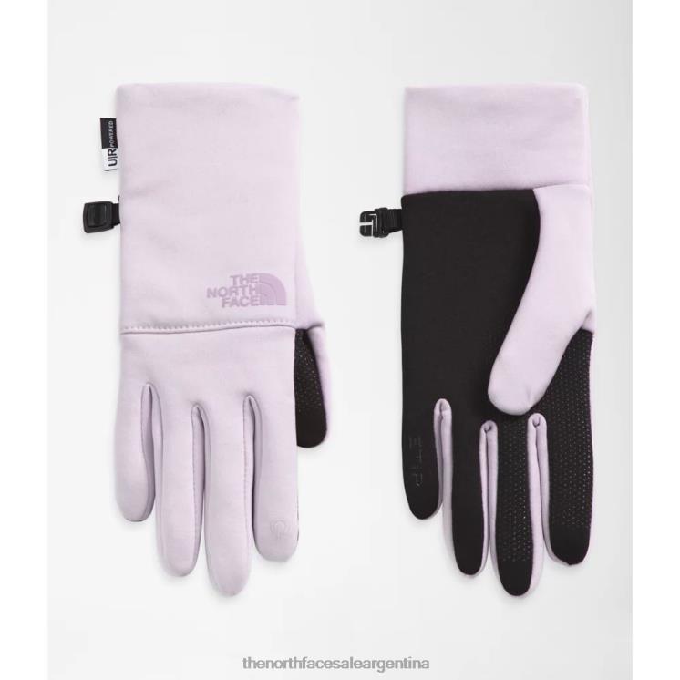 FFV043631 niebla de lavanda The North Face guantes reciclados etip mujer