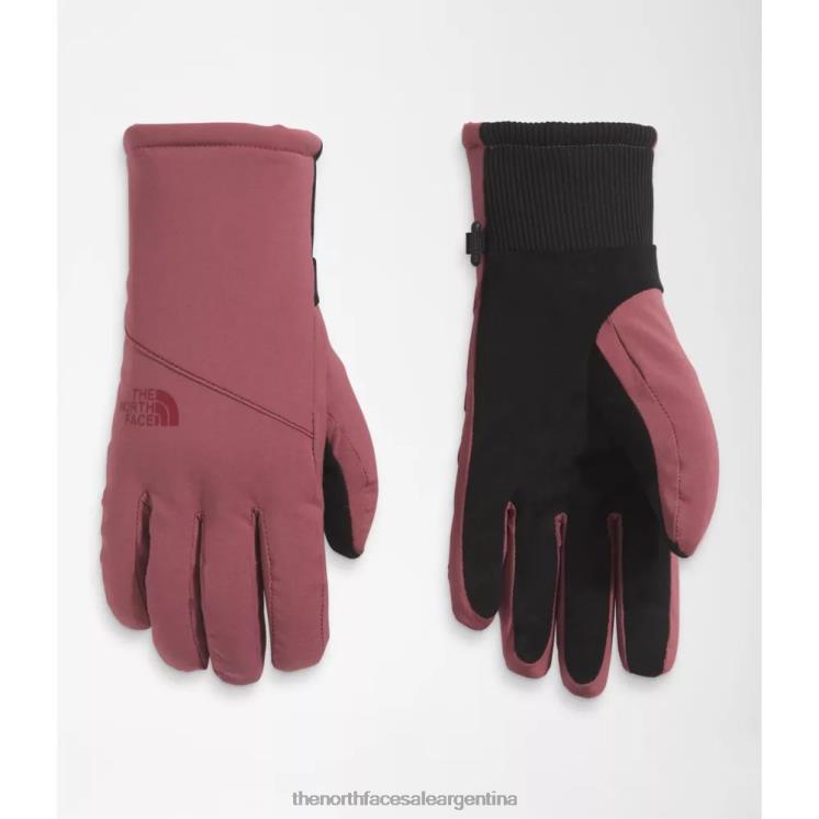 FFV043923 jengibre The North Face guantes shelbe raschel etip mujer