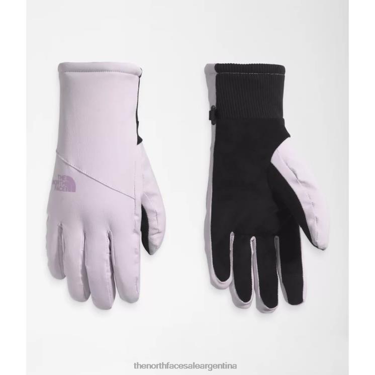 FFV043924 niebla de lavanda The North Face guantes shelbe raschel etip mujer