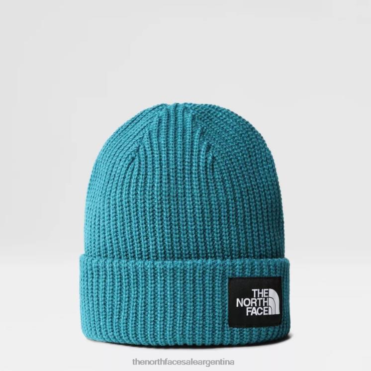 FFV04103 puerto azul The North Face gorro de perro salado