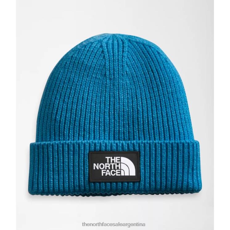 FFV043227 azul banff The North Face gorro con puños y logo de tnf