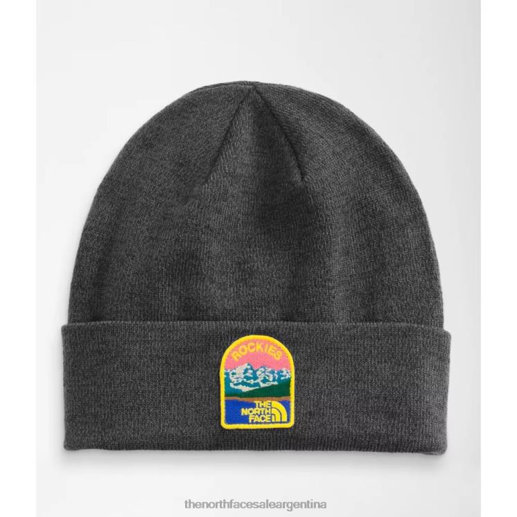 FFV043913 gris The North Face gorro con bordado de paisaje terrestre