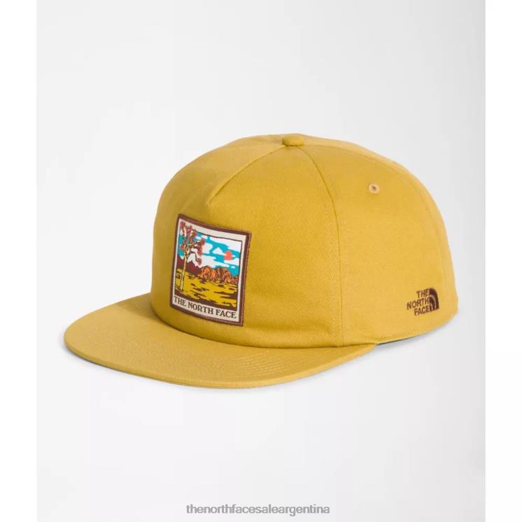 FFV043916 oro mineral The North Face gorra con bordado de paisaje terrestre