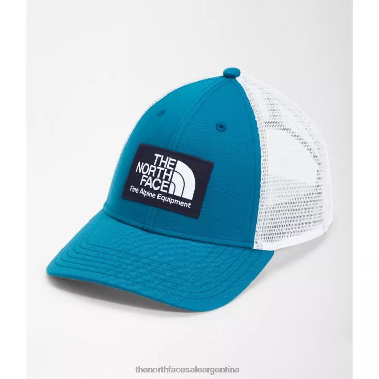 FFV043936 azul banff The North Face camionero de barro