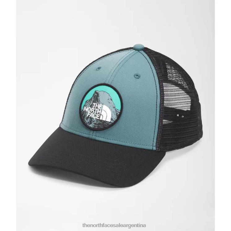 FFV043939 azul The North Face camionero de barro