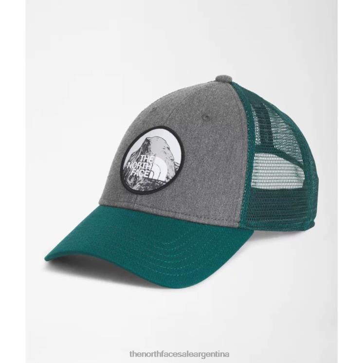 FFV043944 gris The North Face camionero de barro