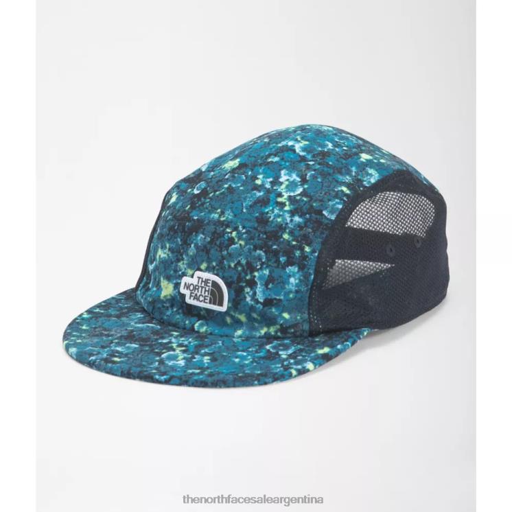 FFV043967 liquen azul The North Face sombrero de campamento clase v