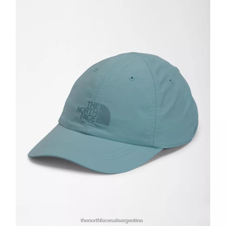 FFV043976 azul The North Face sombrero horizonte