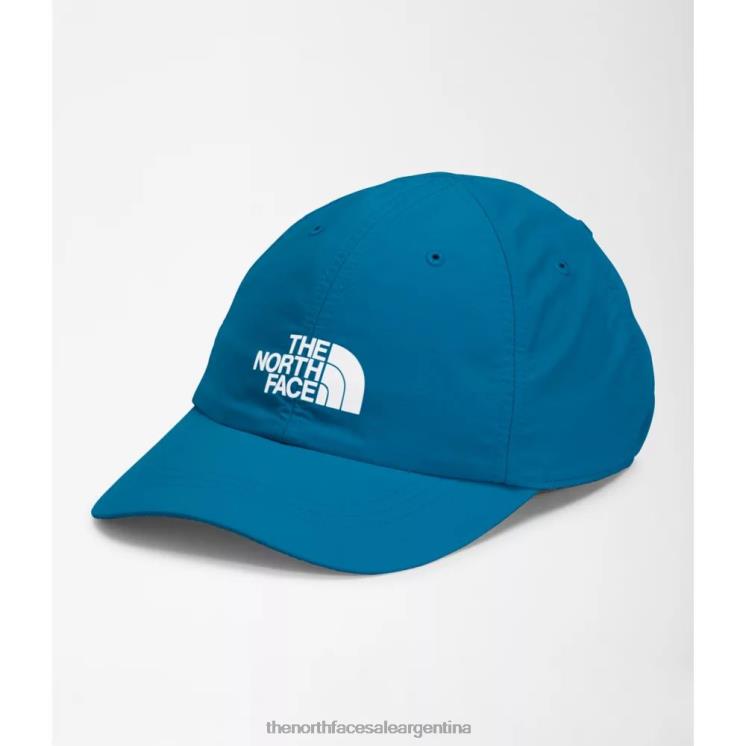 FFV043979 azul banff The North Face sombrero horizonte