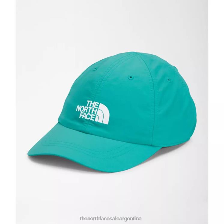 FFV043981 verde porcelana The North Face sombrero horizonte