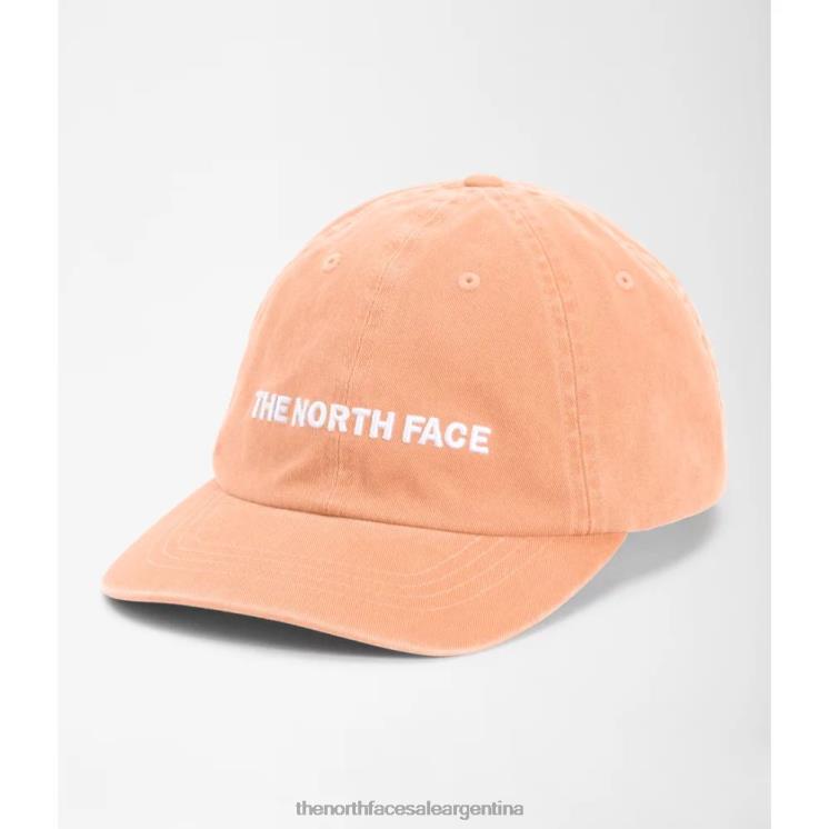 FFV043995 hielo de albaricoque The North Face gorra con bordado horizontal
