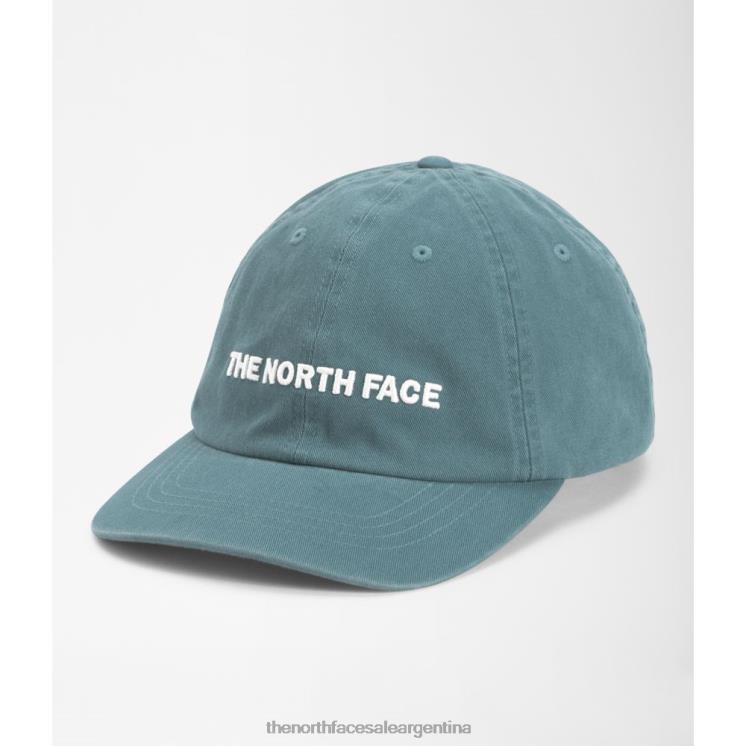 FFV043997 azul The North Face gorra con bordado horizontal