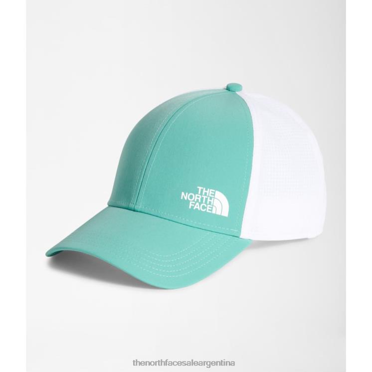 FFV044000 wasabi The North Face camionero de rastro 2.0
