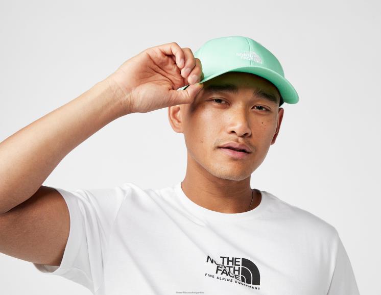FFV046822The North Face 66 gorra tecnológica clásica