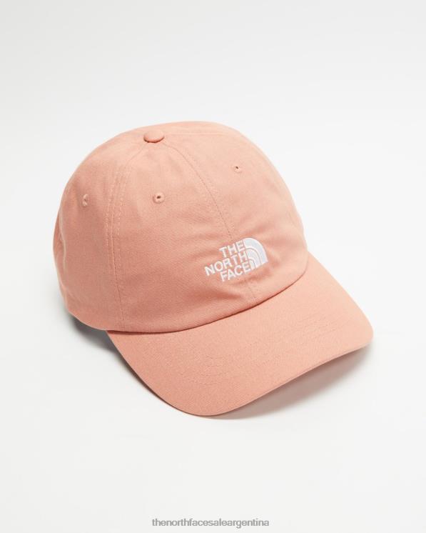 FFV047082 rosa del amanecer The North Face sombrero norma