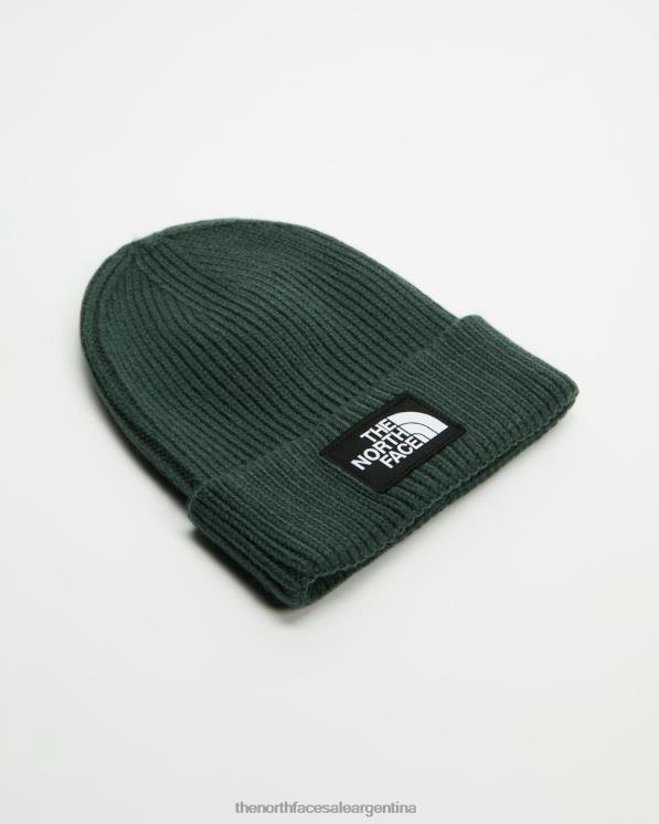 FFV047197 verde salvia oscuro The North Face gorro con puños y logo