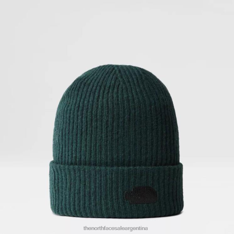 FFV04935 verde The North Face gorro tnf citystreet