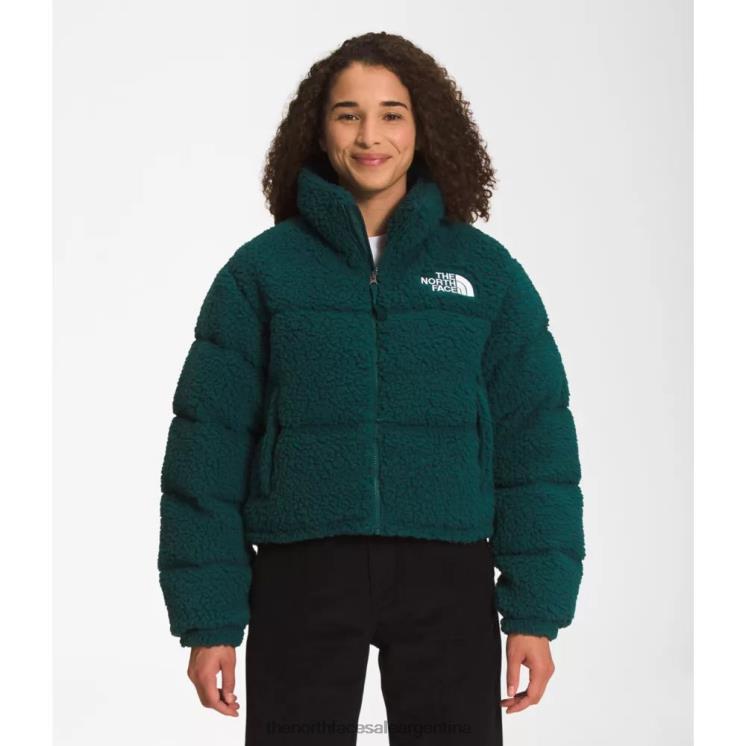 FFV046066 verde The North Face chaqueta nuptse de pelo alto para mujer