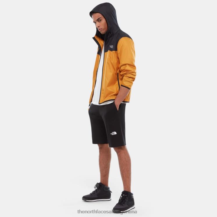FFV04203 negro The North Face pantalones cortos ligeros con gráficos para hombre