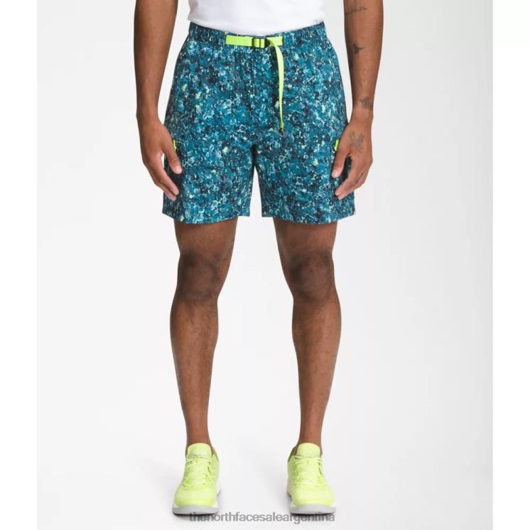 FFV044986 liquen azul The North Face pantalones cortos con cinturón clase v estampados para hombre