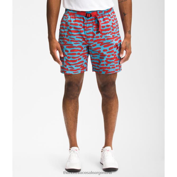 FFV044988 azul nórdico The North Face pantalones cortos con cinturón clase v estampados para hombre