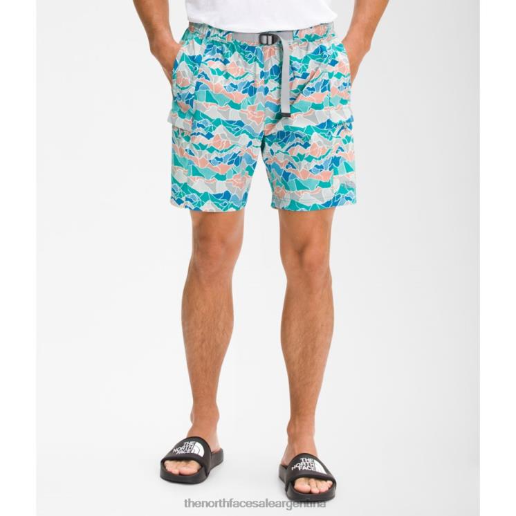 FFV044989 gris The North Face pantalones cortos con cinturón clase v estampados para hombre