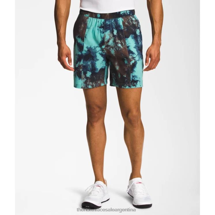 FFV044994 hielo de wasabi The North Face pantalones cortos sin cordones clase v estampados para hombres