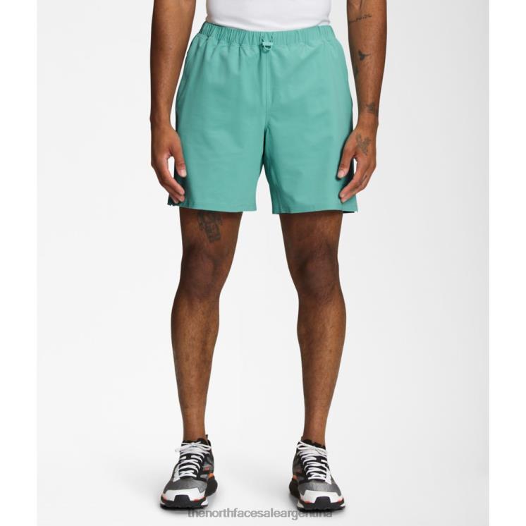 FFV045162 wasabi The North Face pantalones cortos de hombre arque