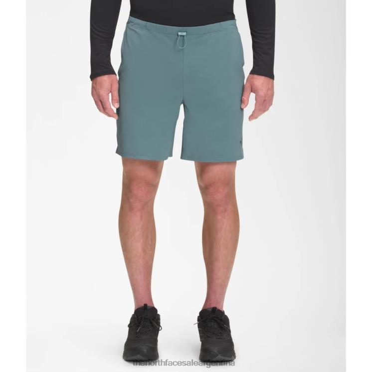 FFV045163 azul The North Face pantalones cortos de hombre arque