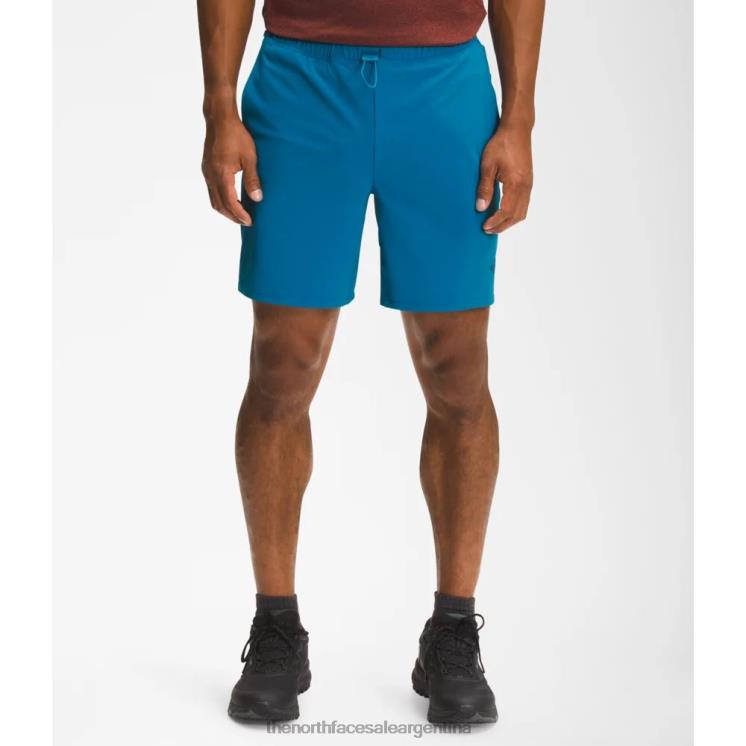 FFV045165 azul banff The North Face pantalones cortos de hombre arque