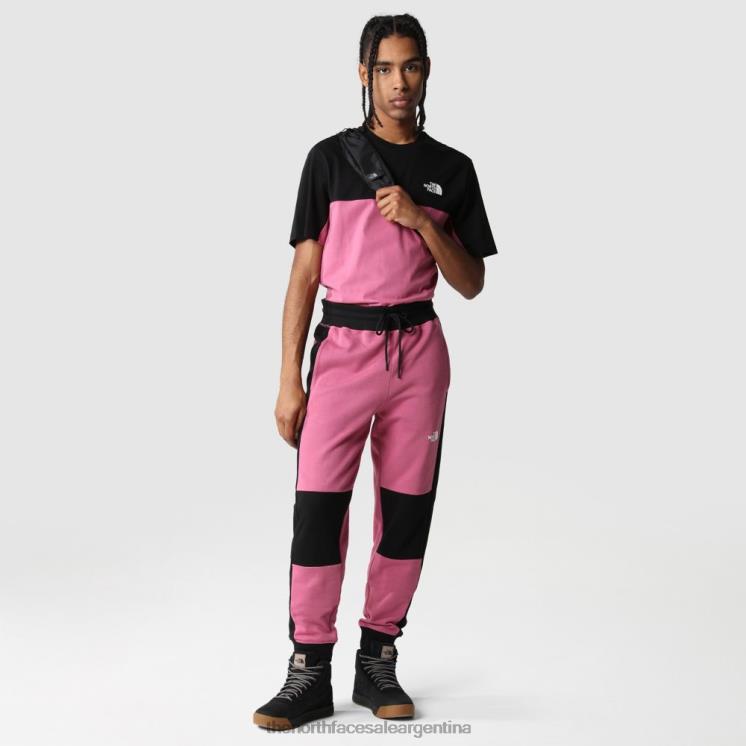 FFV041904 rojo violáceo The North Face pantalones con icono de hombre