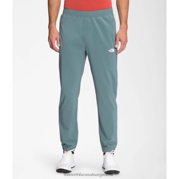 FFV043508 azul The North Face los hombres vagan pantalones