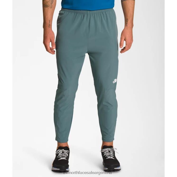 FFV043758 azul The North Face pantalones movmynt de hombre