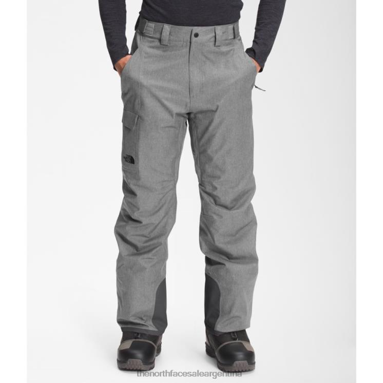 FFV043885 gris The North Face pantalones con aislamiento libertad hombres