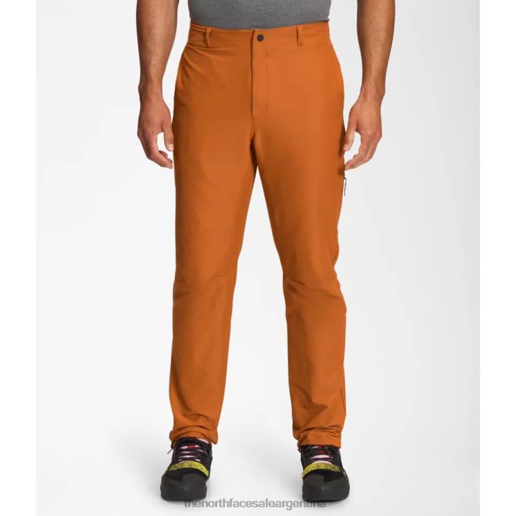 FFV044461 cuero marrón The North Face pantalones de proyecto para hombre
