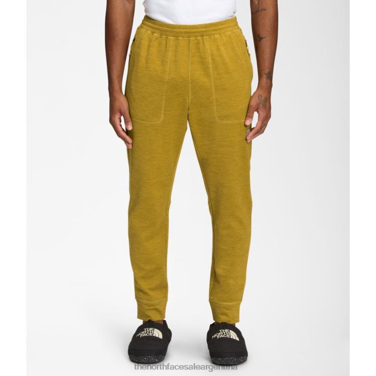 FFV045198 oro mineral The North Face joggers hombre canyonlands