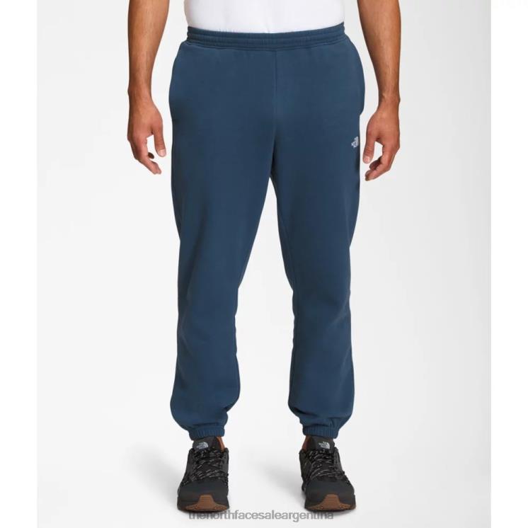 FFV045441 azul sombreado The North Face pantalones deportivos de media cúpula para hombre