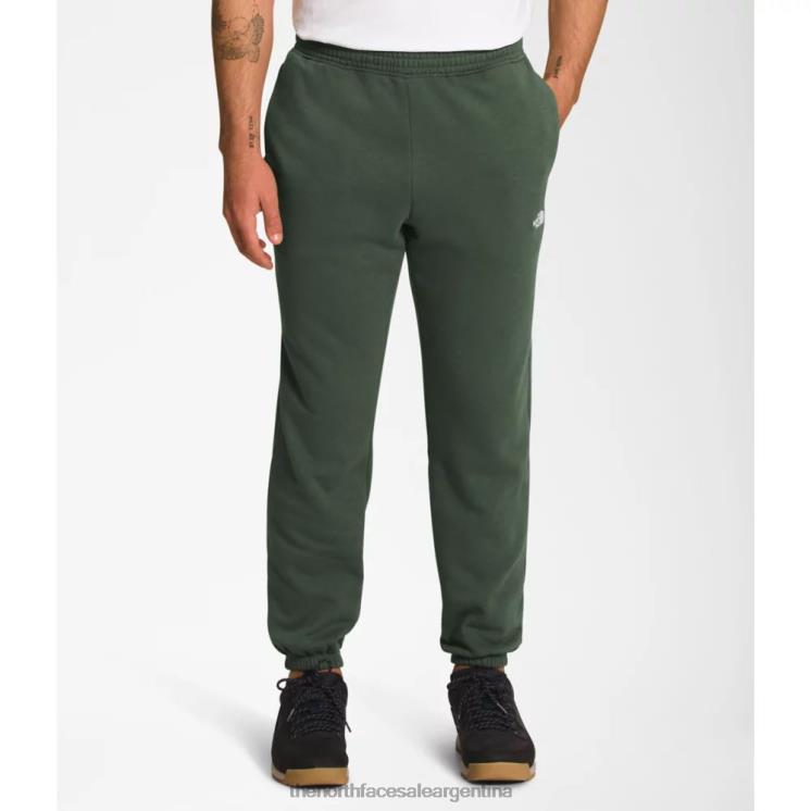 FFV045442 tomillo The North Face pantalones deportivos de media cúpula para hombre